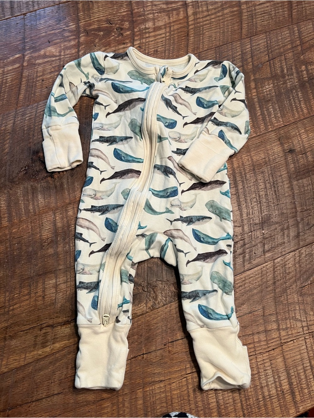Earth Cream Organic Cotton One-Piece with Blue and Teal Whale Print